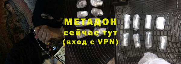 амф Снежногорск