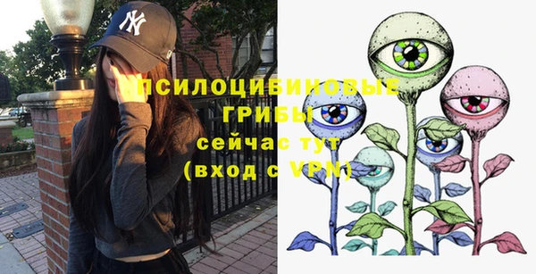 гашик Волоколамск